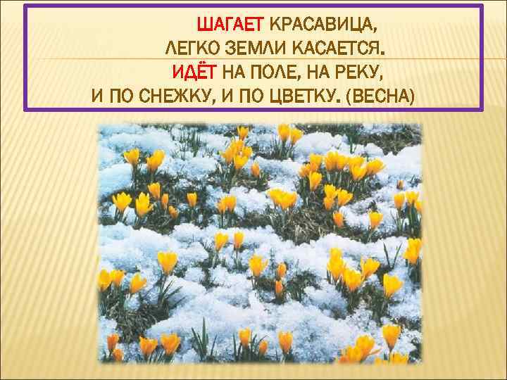 ШАГАЕТ КРАСАВИЦА, ЛЕГКО ЗЕМЛИ КАСАЕТСЯ. ИДЁТ НА ПОЛЕ, НА РЕКУ, И ПО СНЕЖКУ, И