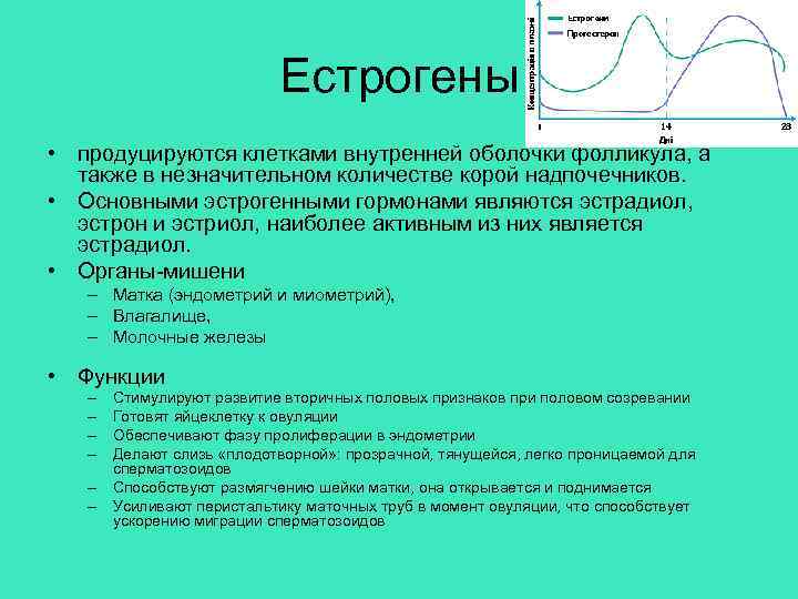 Естрогены • продуцируются клетками внутренней оболочки фолликула, а также в незначительном количестве корой надпочечников.
