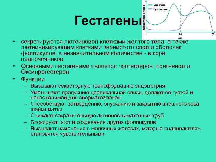 Гестагены • секретируются лютеиновой клетками желтого тела, а также лютеинизирующим клетками зернистого слоя и