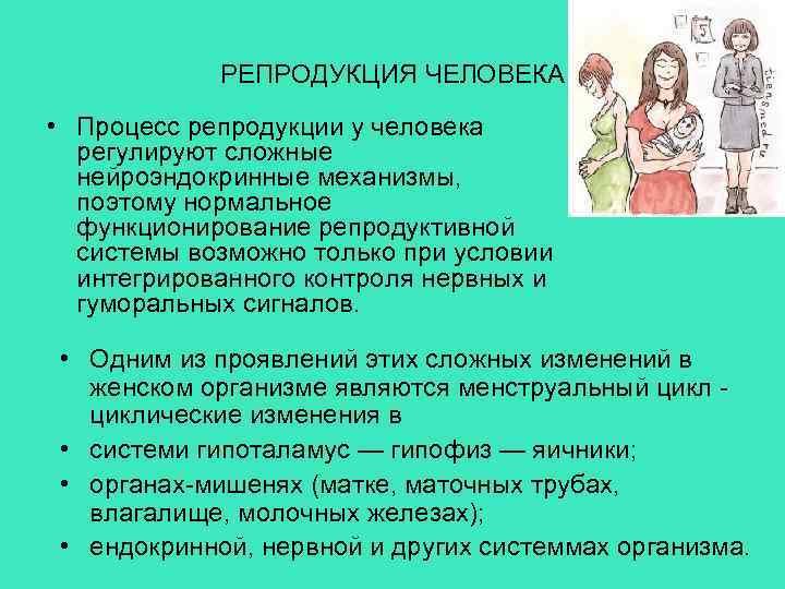 РЕПРОДУКЦИЯ ЧЕЛОВЕКА • Процесс репродукции у человека регулируют сложные нейроэндокринные механизмы, поэтому нормальное функционирование