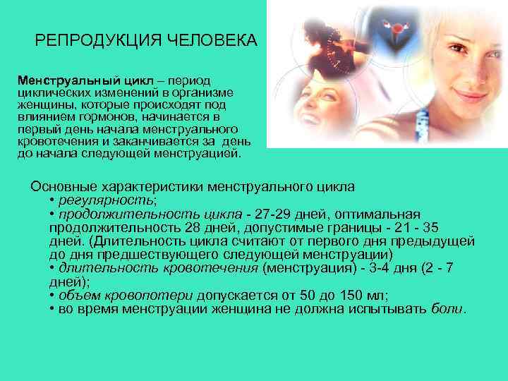 РЕПРОДУКЦИЯ ЧЕЛОВЕКА Менструальный цикл – период циклических изменений в организме женщины, которые происходят под