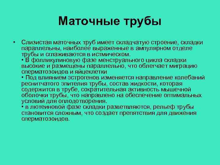 Маточные трубы • Слизистая маточных труб имеет складчатую строение, складки параллельны, наиболее выраженные в