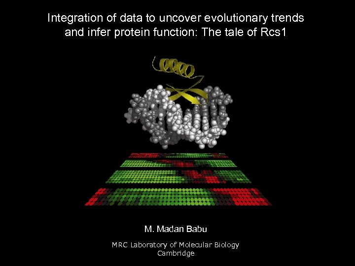 Integration of data to uncover evolutionary trends and infer protein function: The tale of