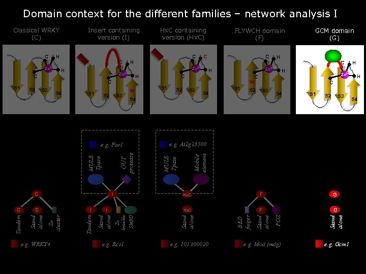Domain context for the different families – network analysis I C H C H