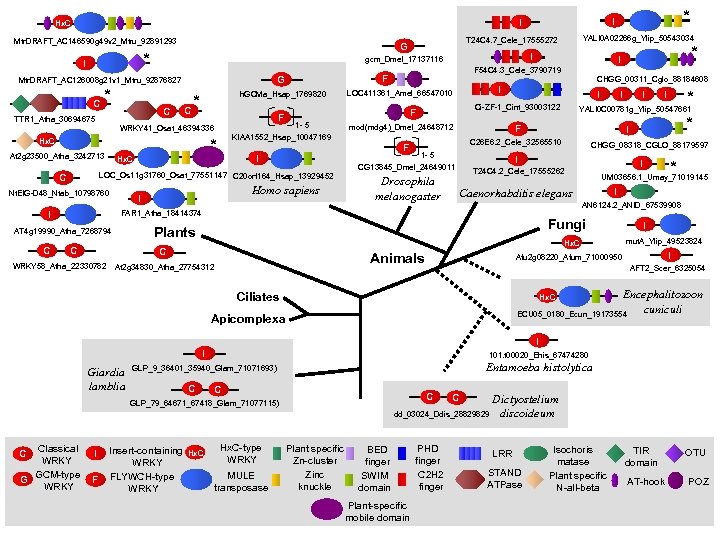 Mtr. DRAFT_AC 146590 g 49 v 2_Mtru_92891293 * I C * TTR 1_Atha_30694675 C