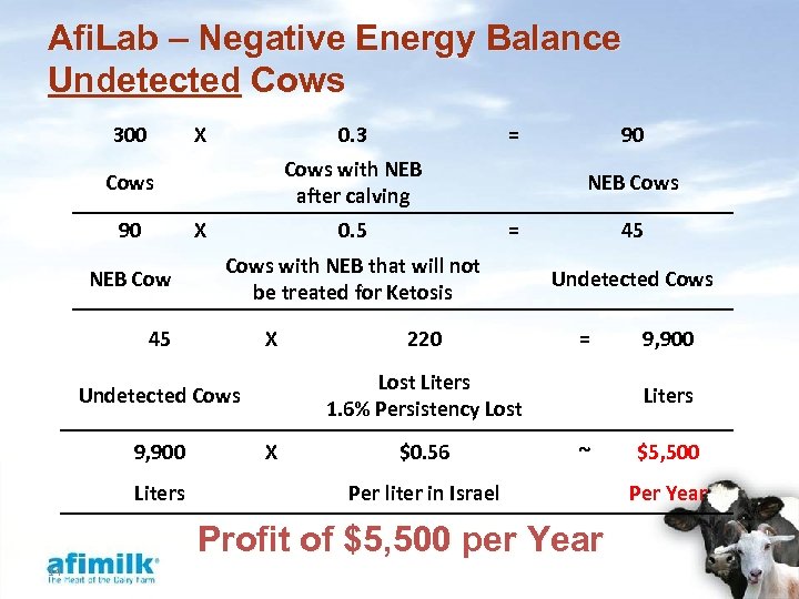Afi. Lab – Negative Energy Balance Undetected Cows 300 X 0. 3 Cows with