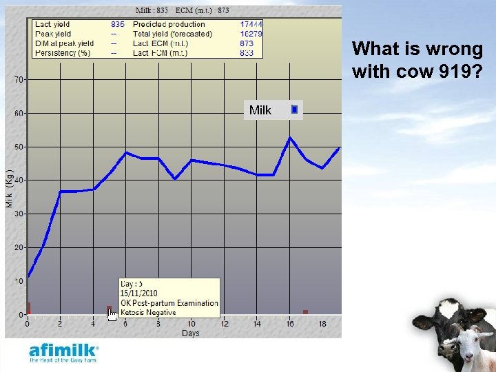 What is wrong with cow 919? Milk 