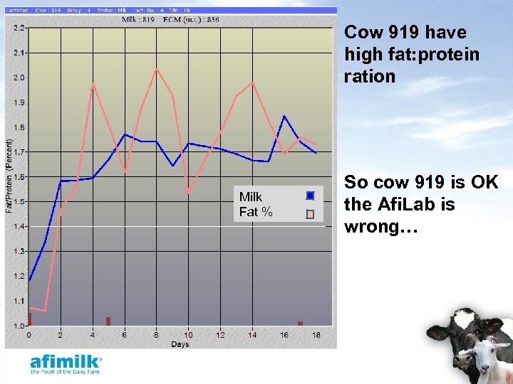 Cow 919 have high fat: protein ration Milk Fat % So cow 919 is