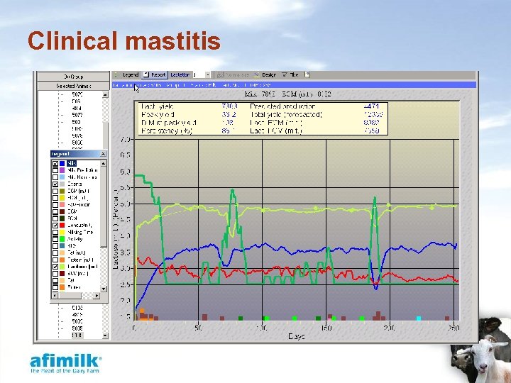 Clinical mastitis 