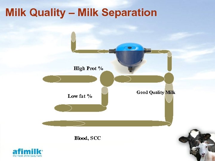 Milk Quality – Milk Separation High Prot % Low fat % Blood, SCC Good