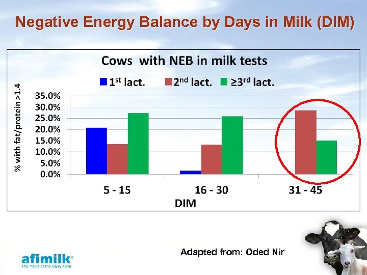 Negative Energy Balance by Days in Milk (DIM) Adapted from: Oded Nir 