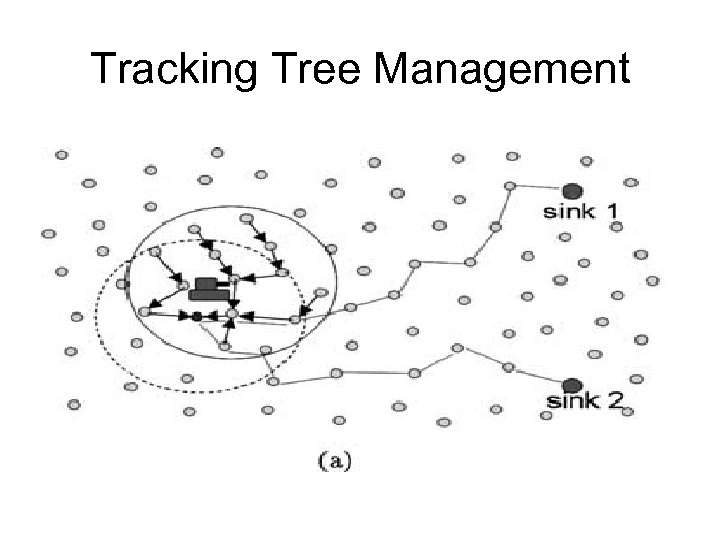 Tracking Tree Management 