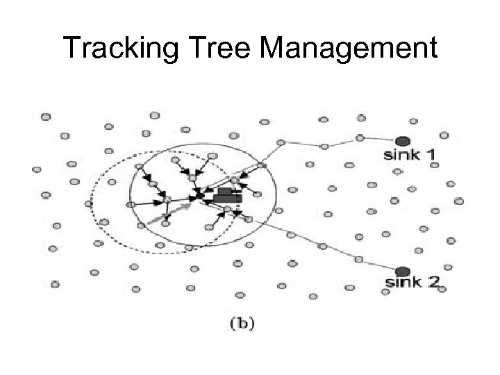 Tracking Tree Management 