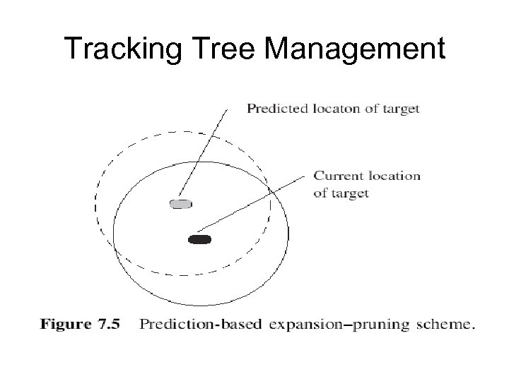 Tracking Tree Management 