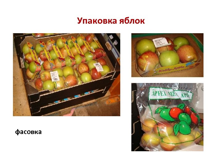 Упаковка яблок фасовка 