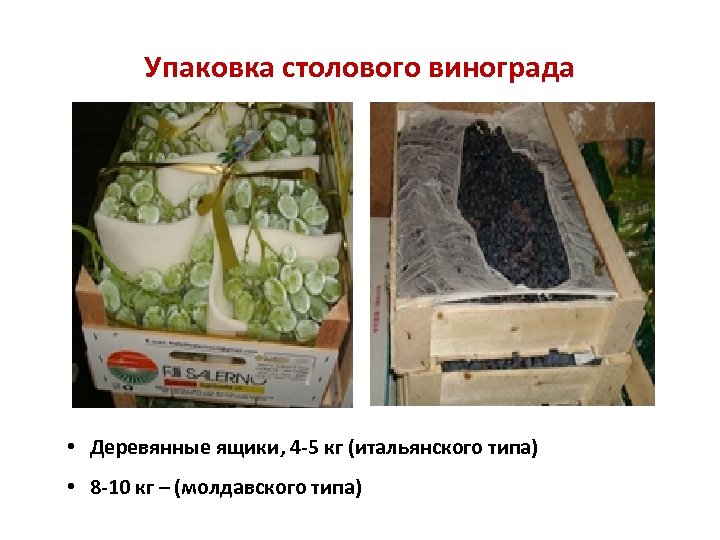 Упаковка столового винограда • Деревянные ящики, 4 -5 кг (итальянского типа) • 8 -10
