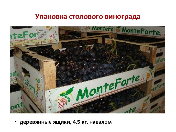 Упаковка столового винограда • деревянные ящики, 4. 5 кг, навалом 