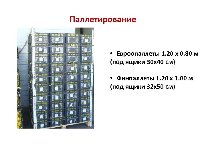 Паллетирование • Евроопаллеты 1. 20 х 0. 80 м (под ящики 30 х40 см)