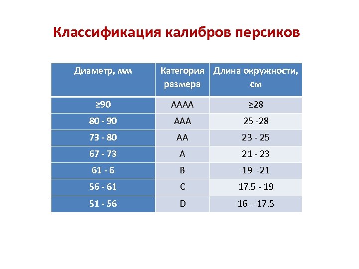 Классификация калибров персиков Диаметр, мм Категория Длина окружности, размера см ≥ 90 АААА ≥