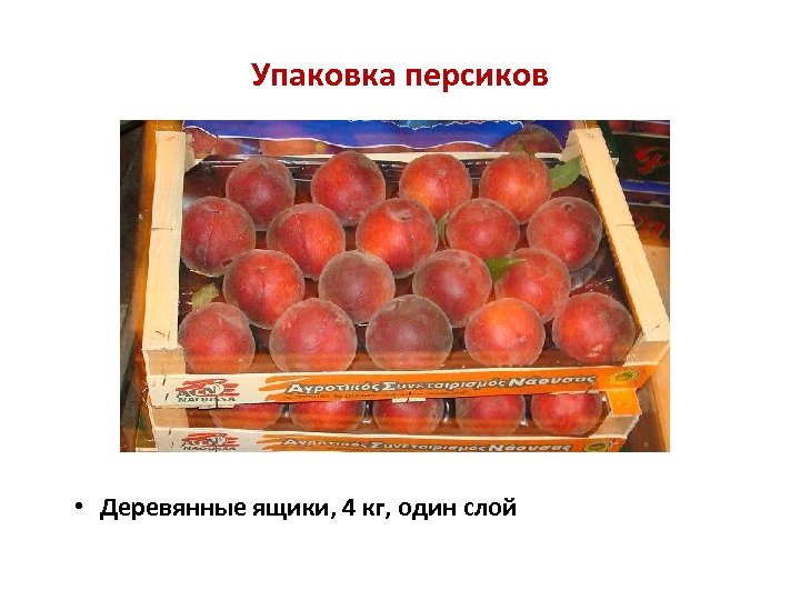 Упаковка персиков • Деревянные ящики, 4 кг, один слой 