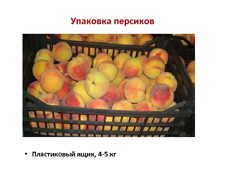 Упаковка персиков • Пластиковый ящик, 4 -5 кг 