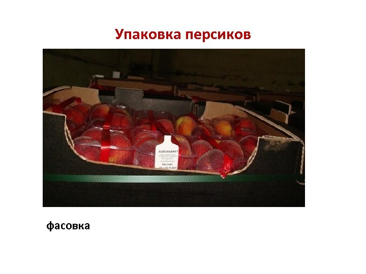 Упаковка персиков фасовка 