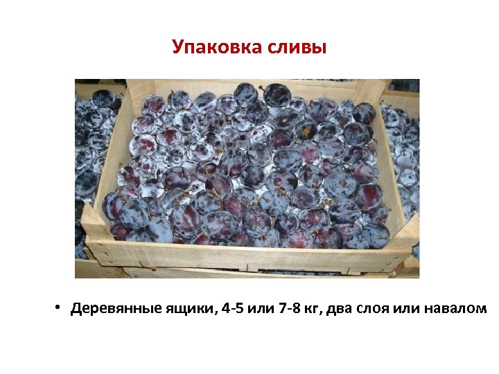 Упаковка сливы • Деревянные ящики, 4 -5 или 7 -8 кг, два слоя или