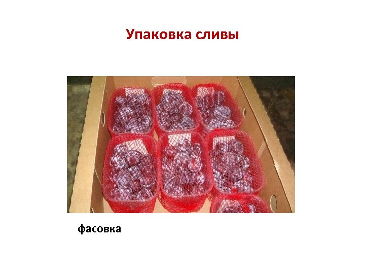 Упаковка сливы фасовка 
