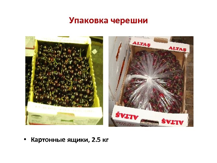 Упаковка черешни • Картонные ящики, 2. 5 кг 