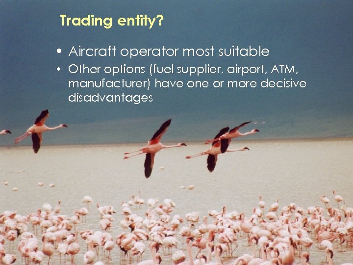 Trading entity? • Aircraft operator most suitable • Other options (fuel supplier, airport, ATM,