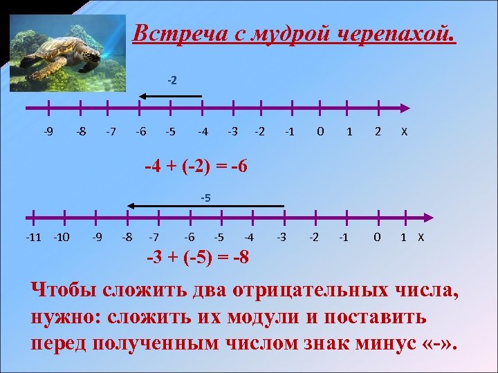 Встреча с мудрой черепахой. -2 -9 -8 -7 -6 -5 -4 -3 -2 -1