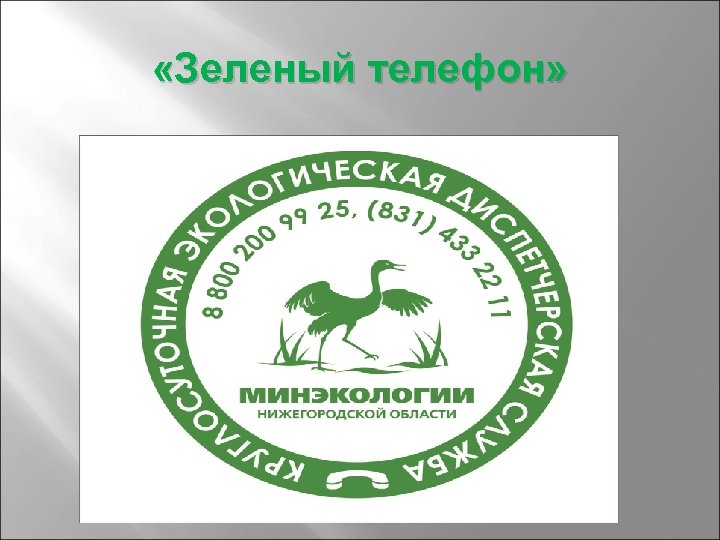  «Зеленый телефон» 