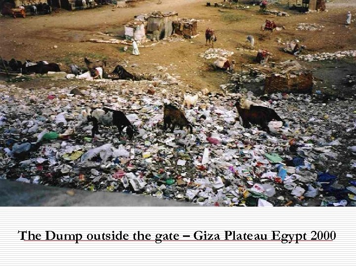 The Dump outside the gate – Giza Plateau Egypt 2000 