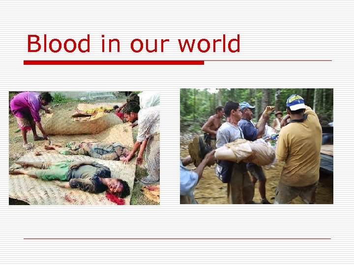 Blood in our world 