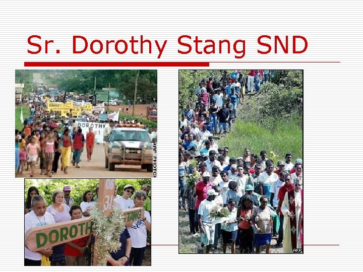 Sr. Dorothy Stang SND 