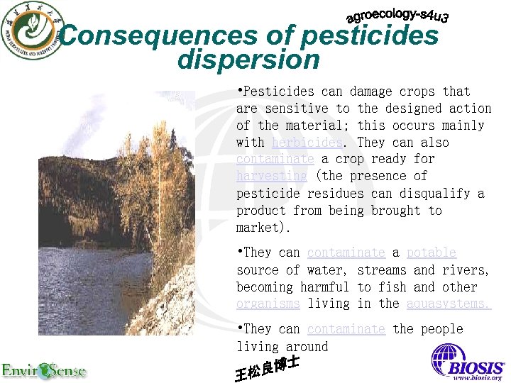 Consequences of pesticides dispersion • Pesticides can damage crops that are sensitive to the