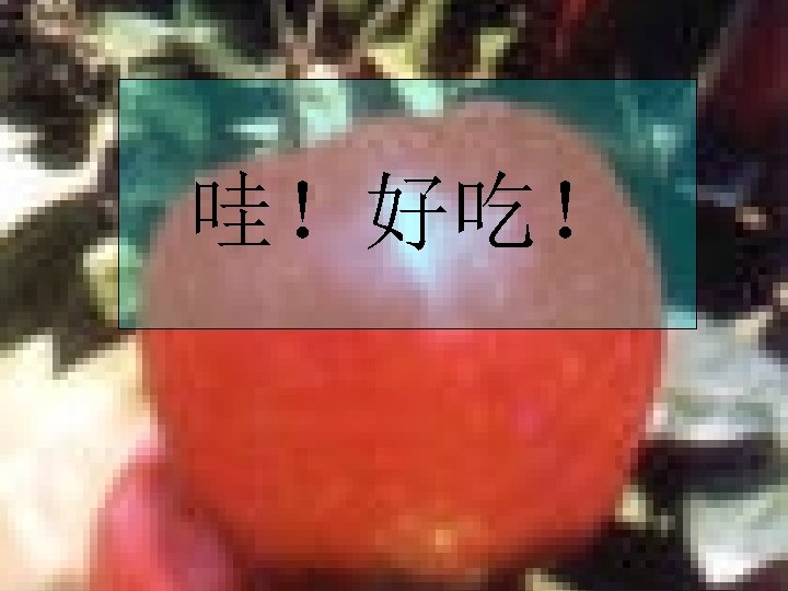 agroecologys 4 u 3 哇！好吃！ 王松良 05 -4 -2 福建农林大学作物科学学院 College of Sciences, FAFU