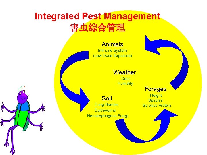 agroecologys 4 u 3 Integrated Pest Management 害虫综合管理 Animals Immune System (Low Dose Exposure)