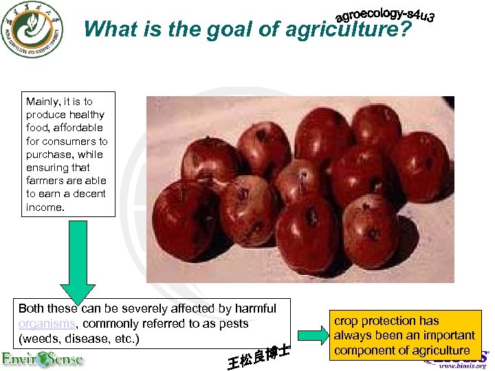 What is the goal of agriculture? Mainly, it is to produce healthy food, affordable