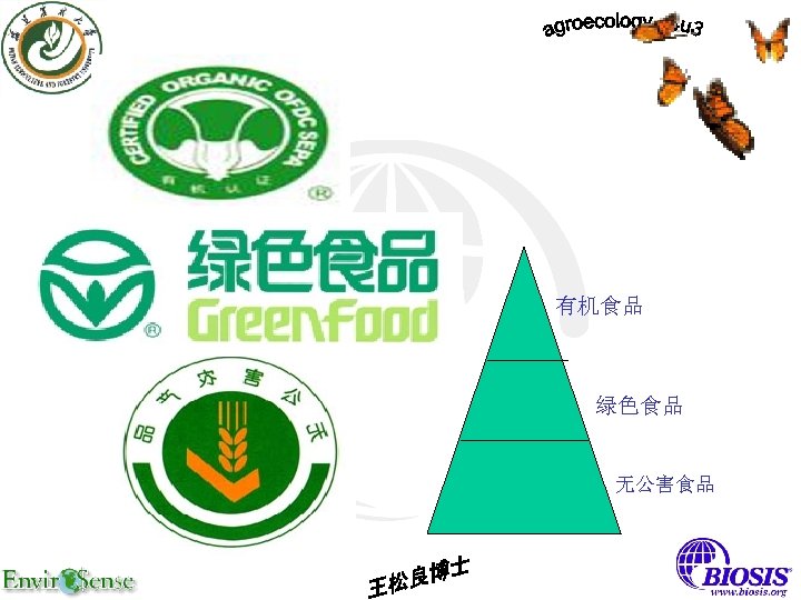 有机食品 绿色食品 无公害食品 
