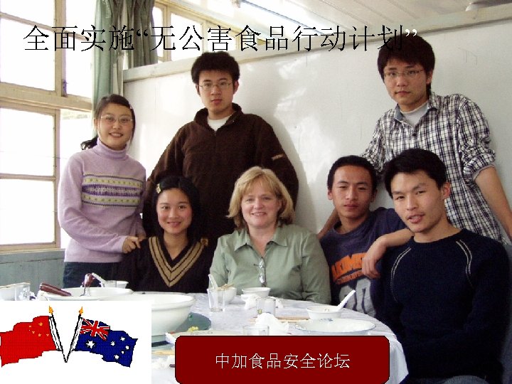 全面实施“无公害食品行动计划” 中加食品安全论坛 