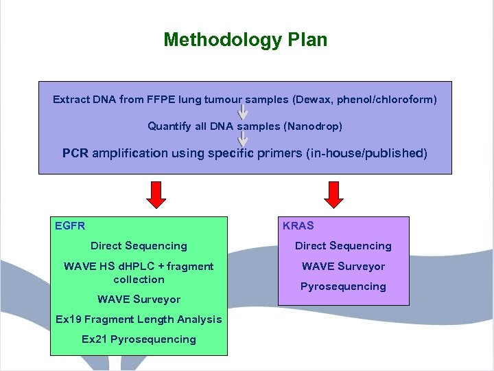 Methodology Plan Extract DNA from FFPE lung tumour samples (Dewax, phenol/chloroform) Quantify all DNA