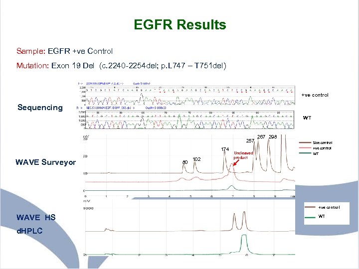 EGFR Results Sample: EGFR +ve Control Mutation: Exon 19 Del (c. 2240 -2254 del;