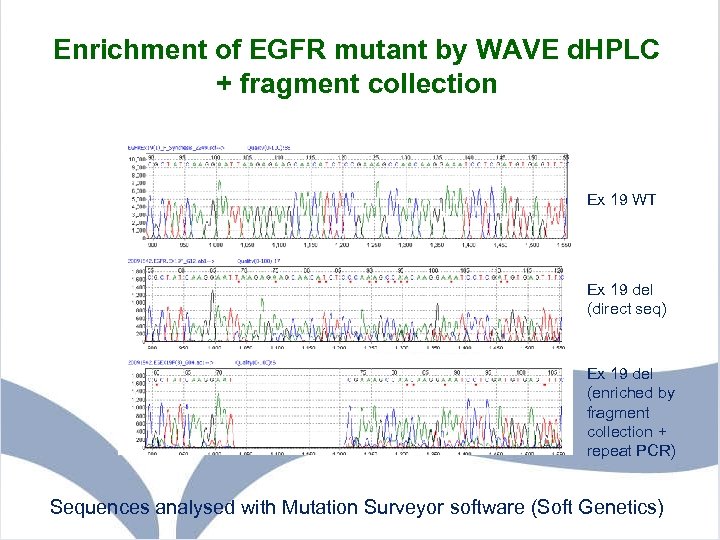 Enrichment of EGFR mutant by WAVE d. HPLC + fragment collection Ex 19 WT