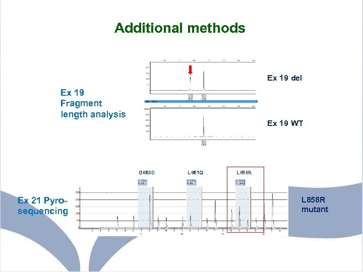 Additional methods Ex 19 del Ex 19 Fragment length analysis Ex 19 WT G