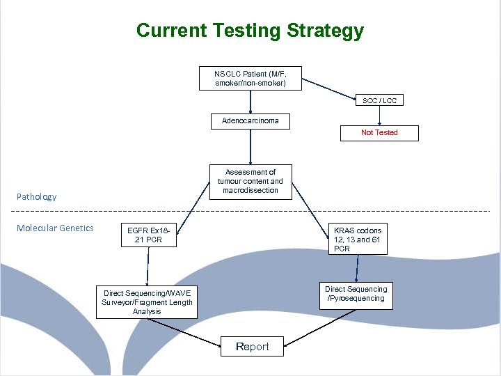 Current Testing Strategy NSCLC Patient (M/F, smoker/non-smoker) SCC / LCC Adenocarcinoma Not Tested Assessment