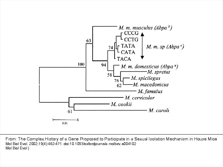 From: The Complex History of a Gene Proposed to Participate in a Sexual Isolation