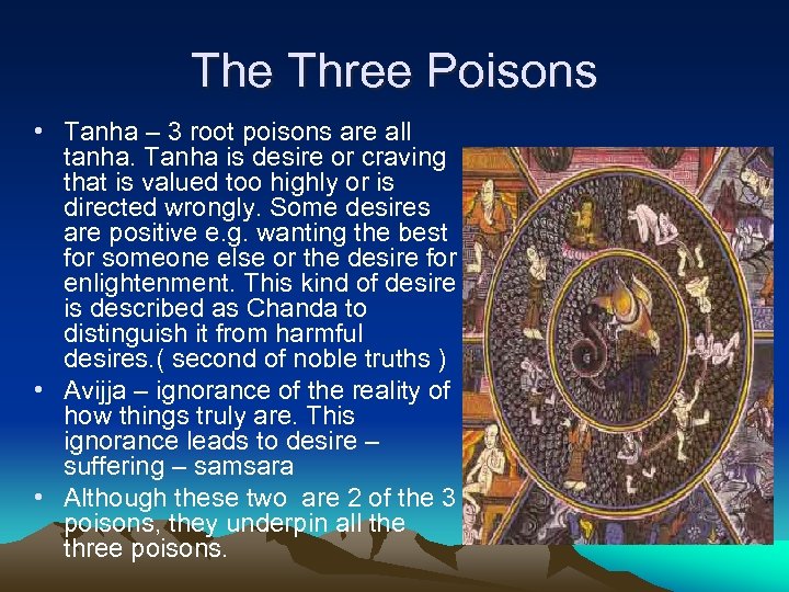 The Three Poisons • Tanha – 3 root poisons are all tanha. Tanha is