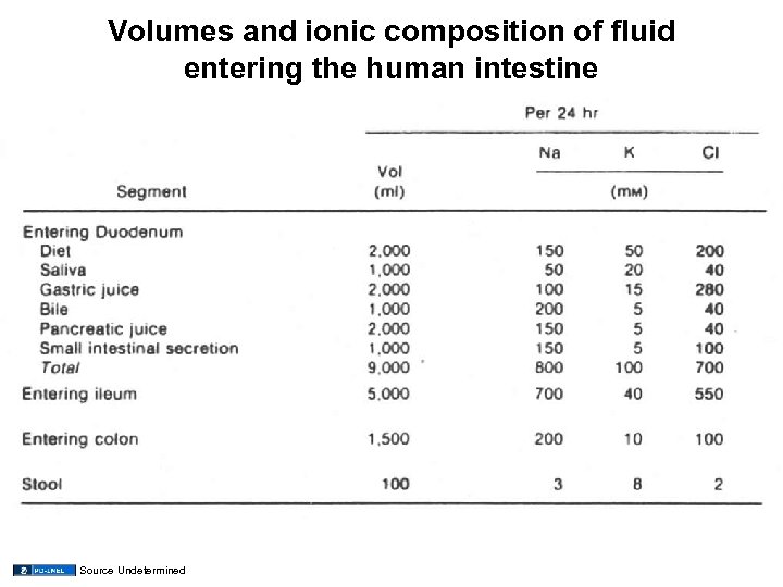 Volumes and ionic composition of fluid entering the human intestine Source Undetermined 