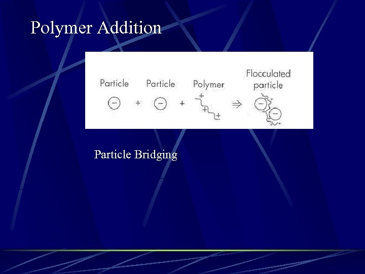 Polymer Addition Particle Bridging 